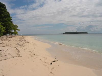 Strand bei Bocas del Toro